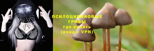 MDMA Premium VHQ Дмитриев