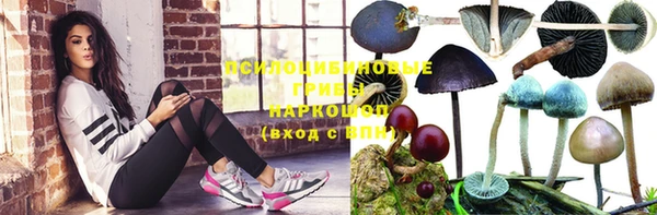 MDMA Premium VHQ Дмитриев
