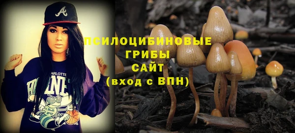герыч Дмитров